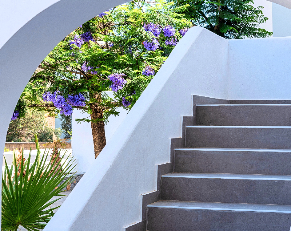 Relax your mind, body and soul